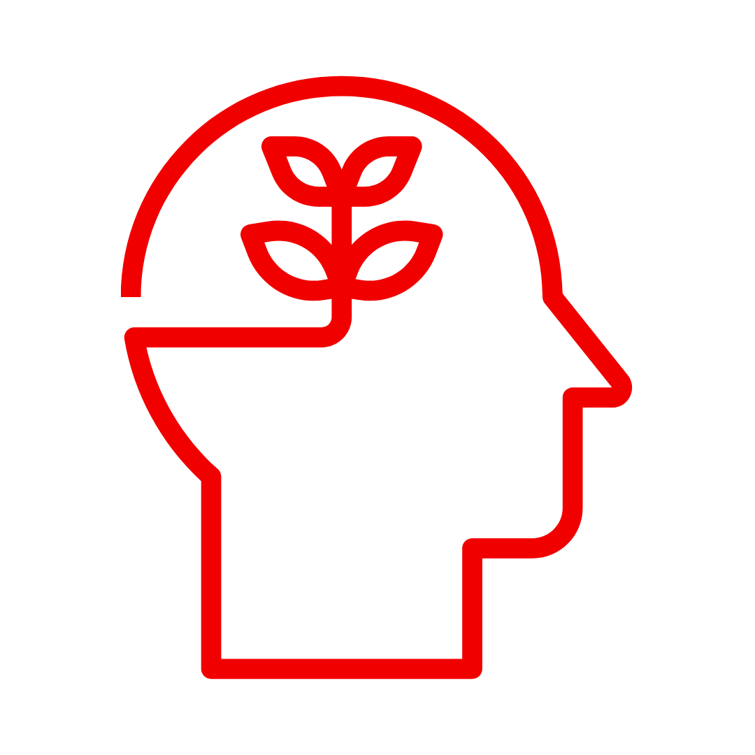 knowledge-documentation-icon-red.png