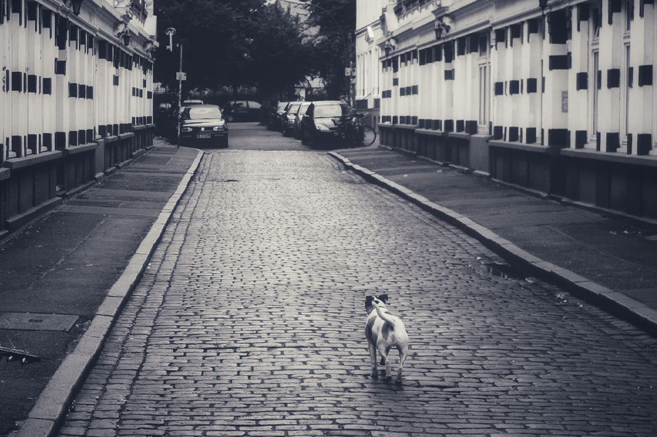 Sometime you need to rethink how you look measure your path